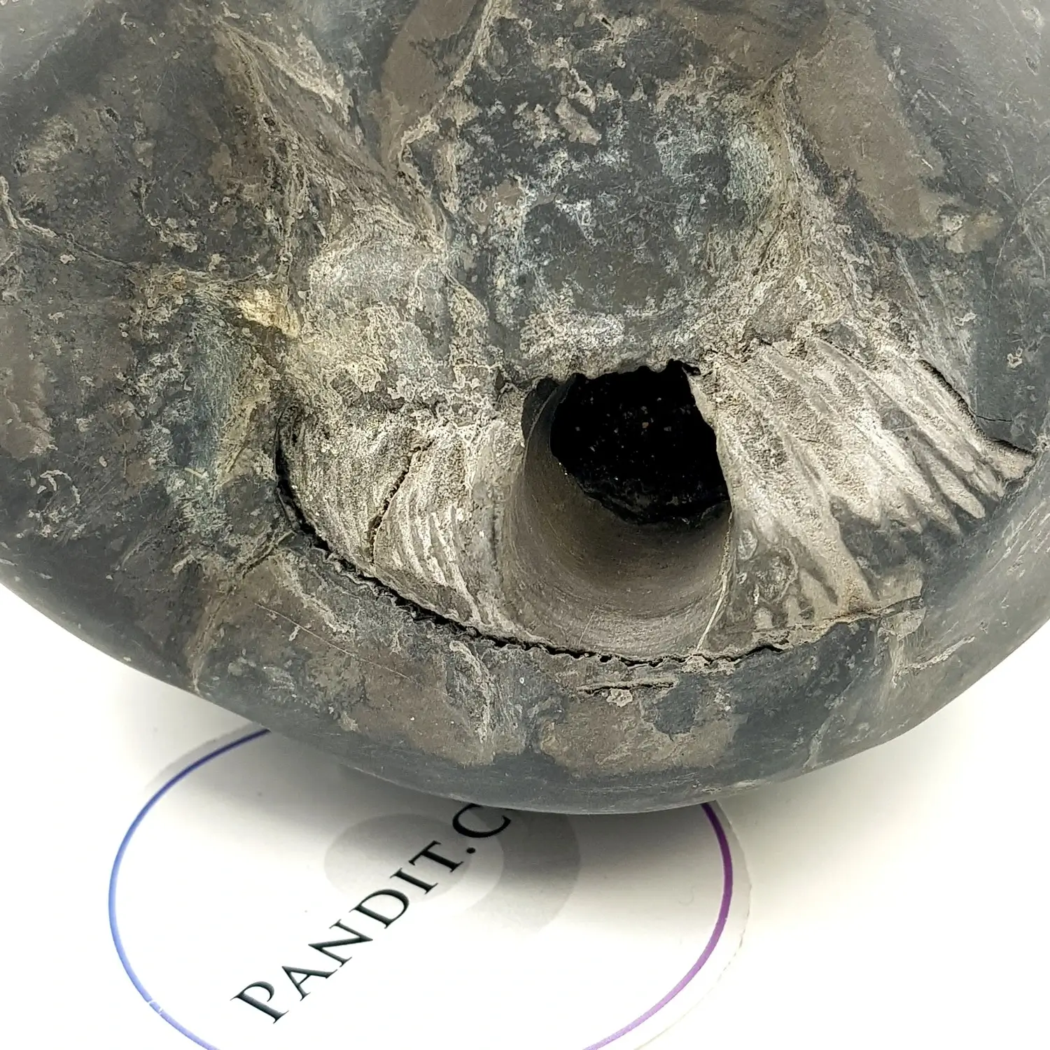 Lakshmi Narayan Shaligram - Image 4