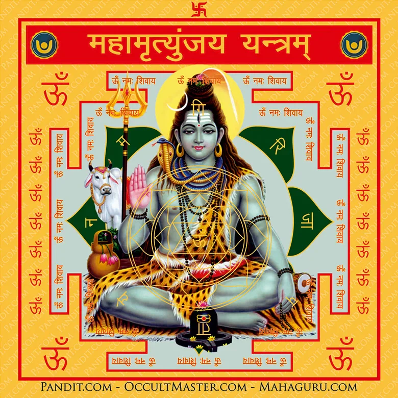 Mahamrityunjaya Kit - Image 10