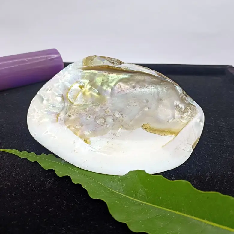 Mother of Pearl Sea Shell - Image 14