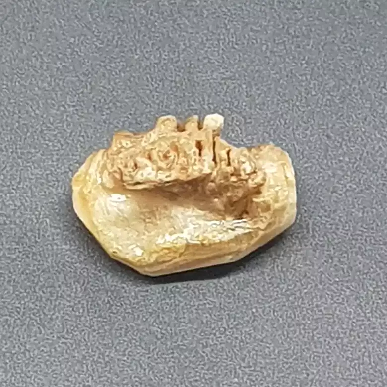 Natural Chandra Mani - Image 11