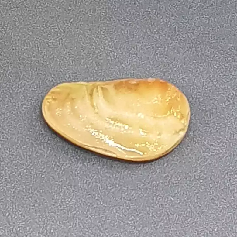 Natural Shukra Mani - Image 11