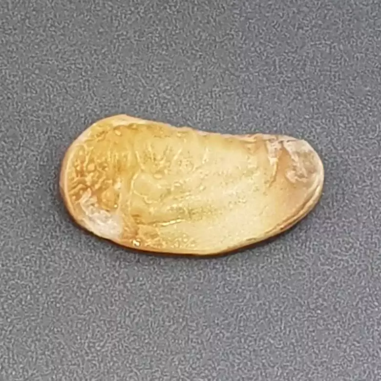 Natural Shukra Mani - Image 14