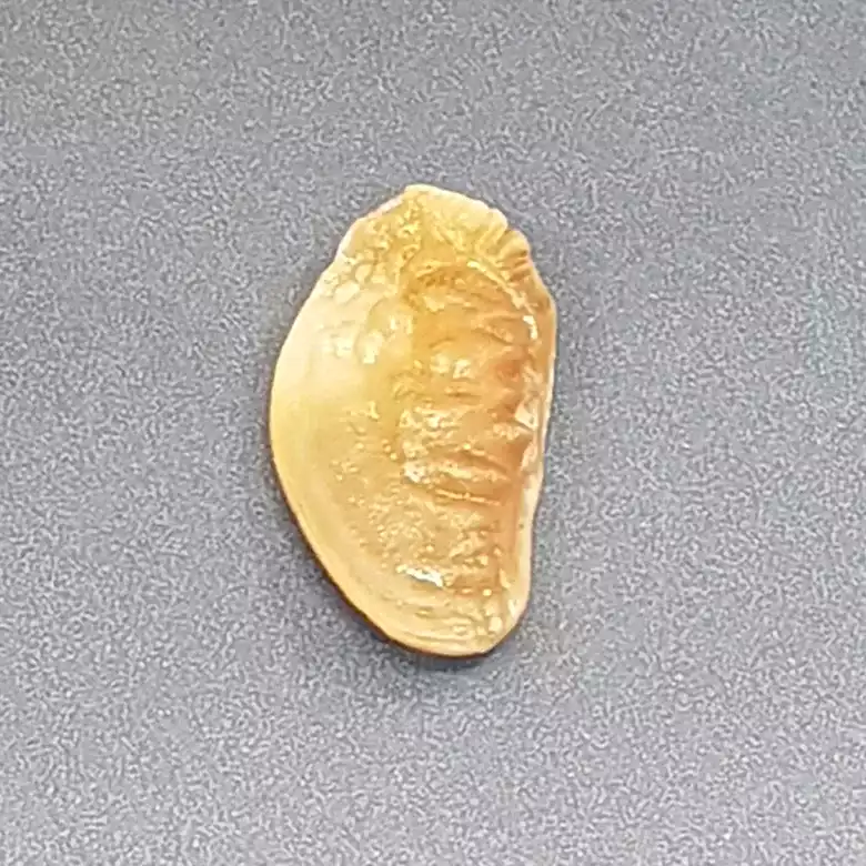Natural Shukra Mani - Image 7