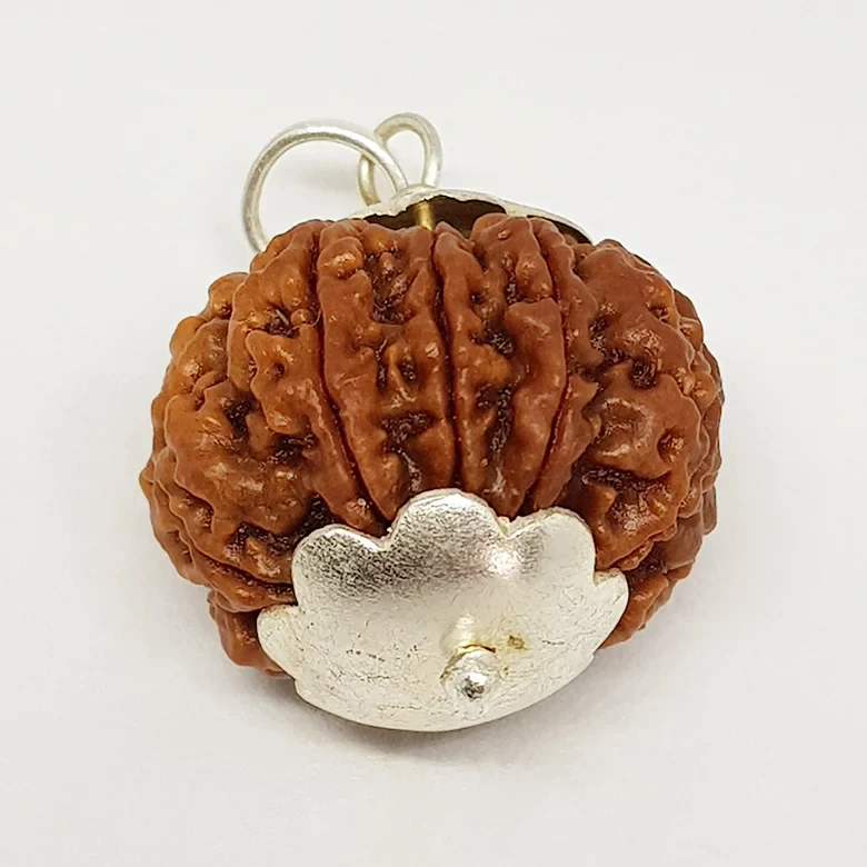 Nine Mukhi Premium Rare Rudraksha - Image 10