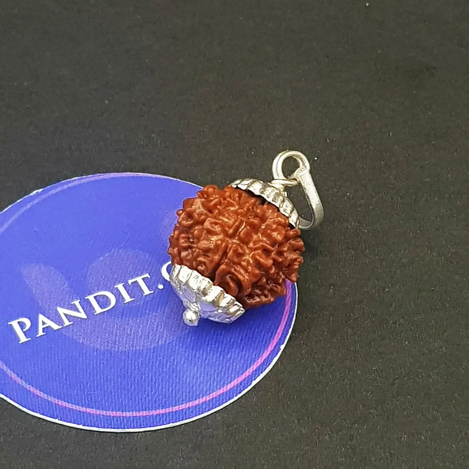 Nine Mukhi Premium Rare Rudraksha - Image 5