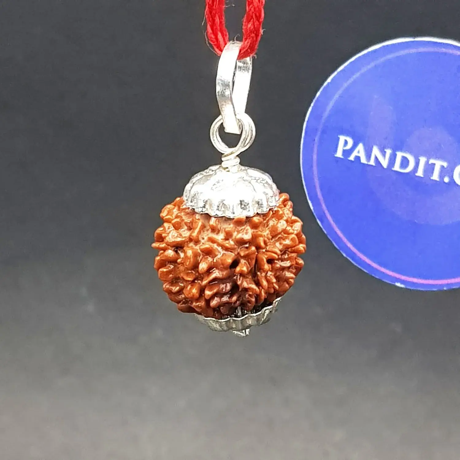 Nine Mukhi Premium Rare Rudraksha - Image 6