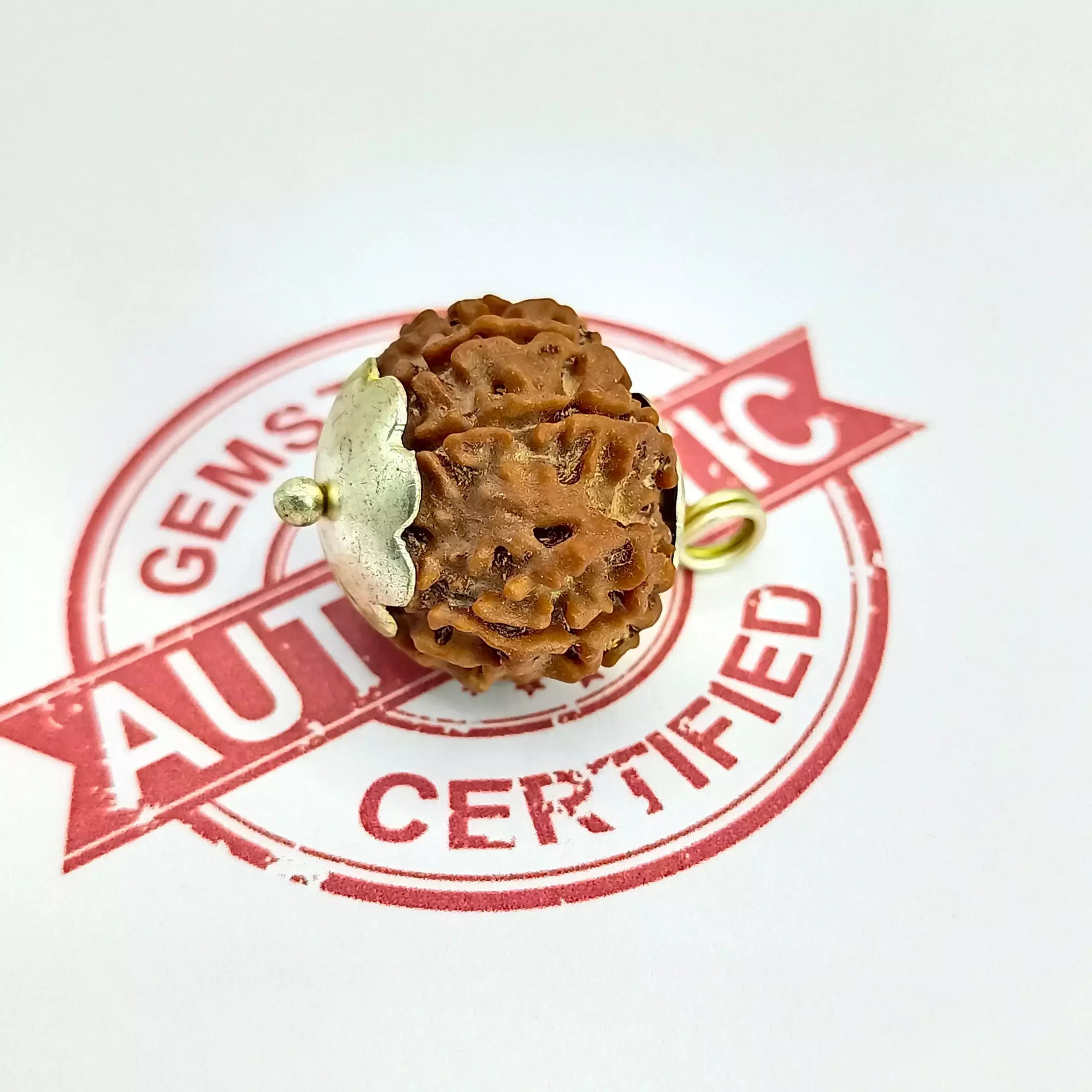 Nine Mukhi Premium Rare Rudraksha - Image 7