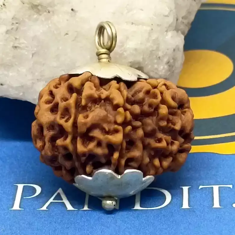 Nine Mukhi Premium Rare Rudraksha - Image 8