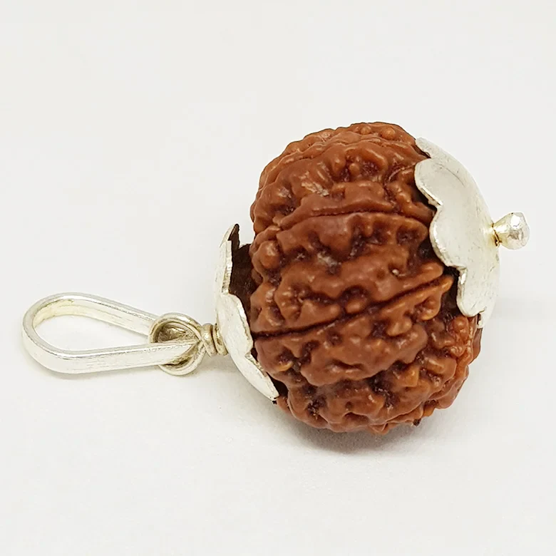 Nine Mukhi Premium Rare Rudraksha - Image 9