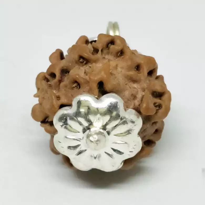 Nirakar Premium Rare Rudraksha - Image 8