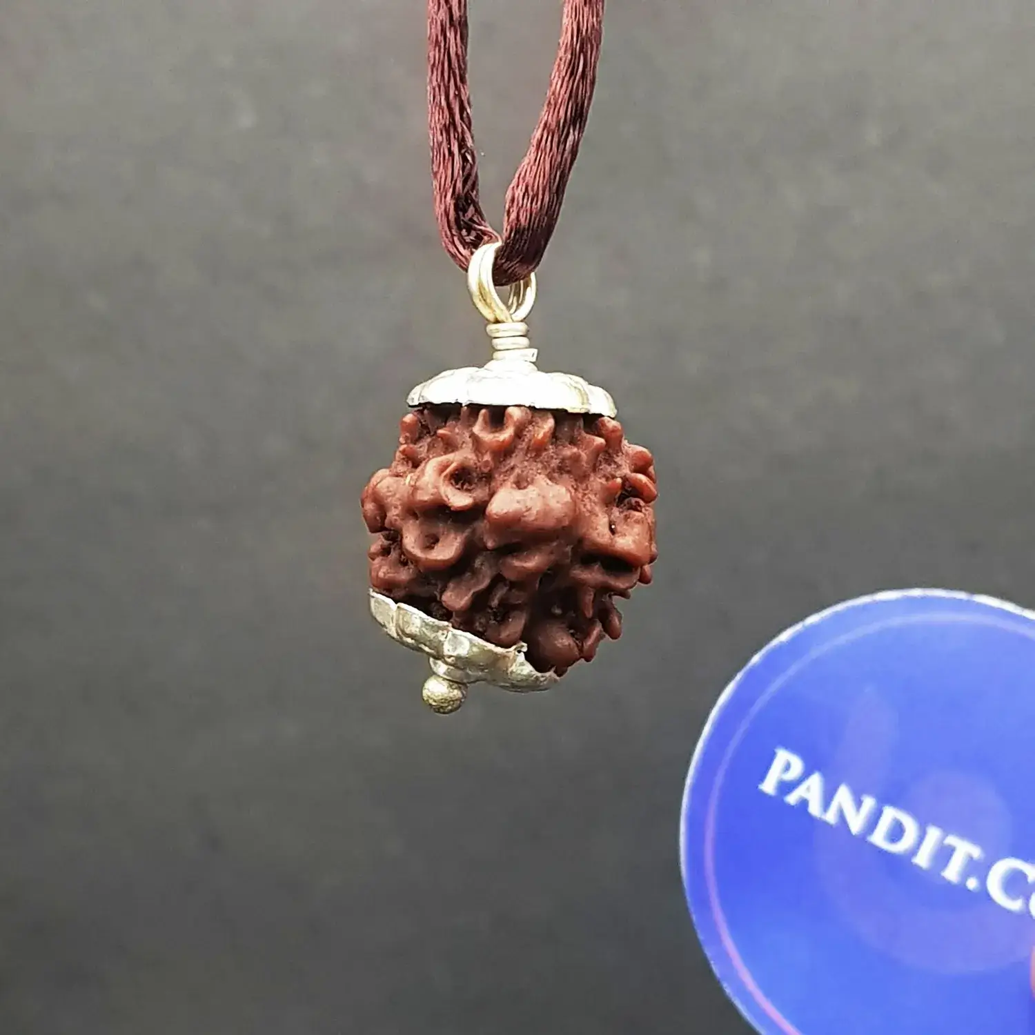 Nirakar Rudraksha - Nepal - Image 2