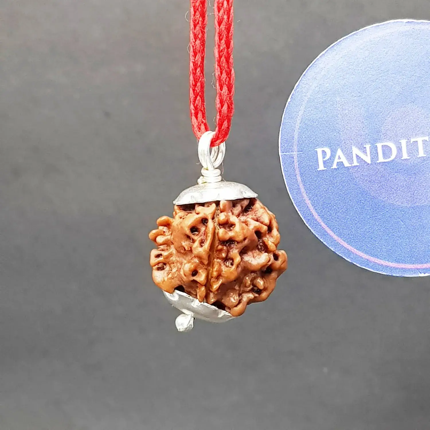 One Mukhi Premium Rare Rudraksha - Image 3