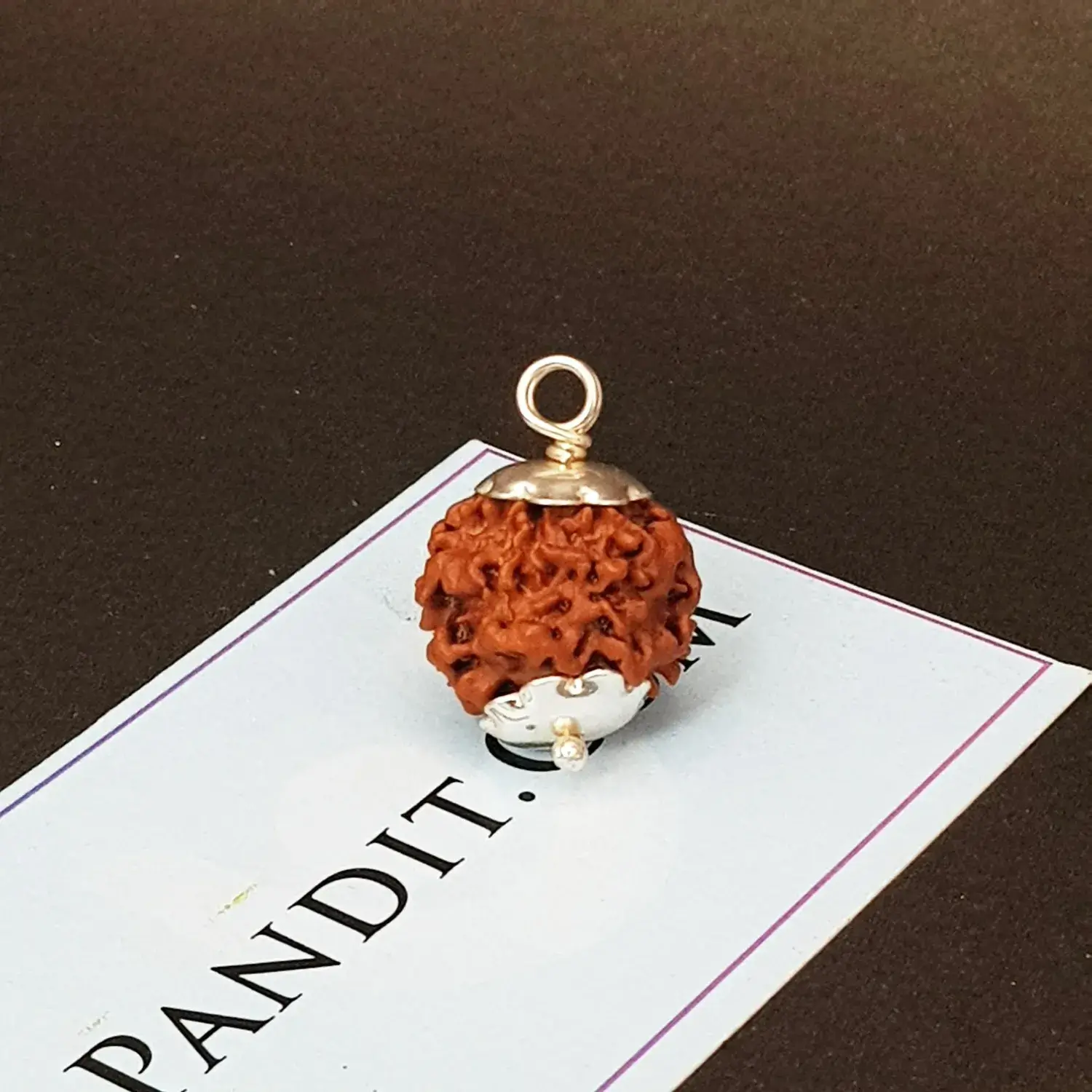 One Mukhi Premium Rare Rudraksha - Image 4