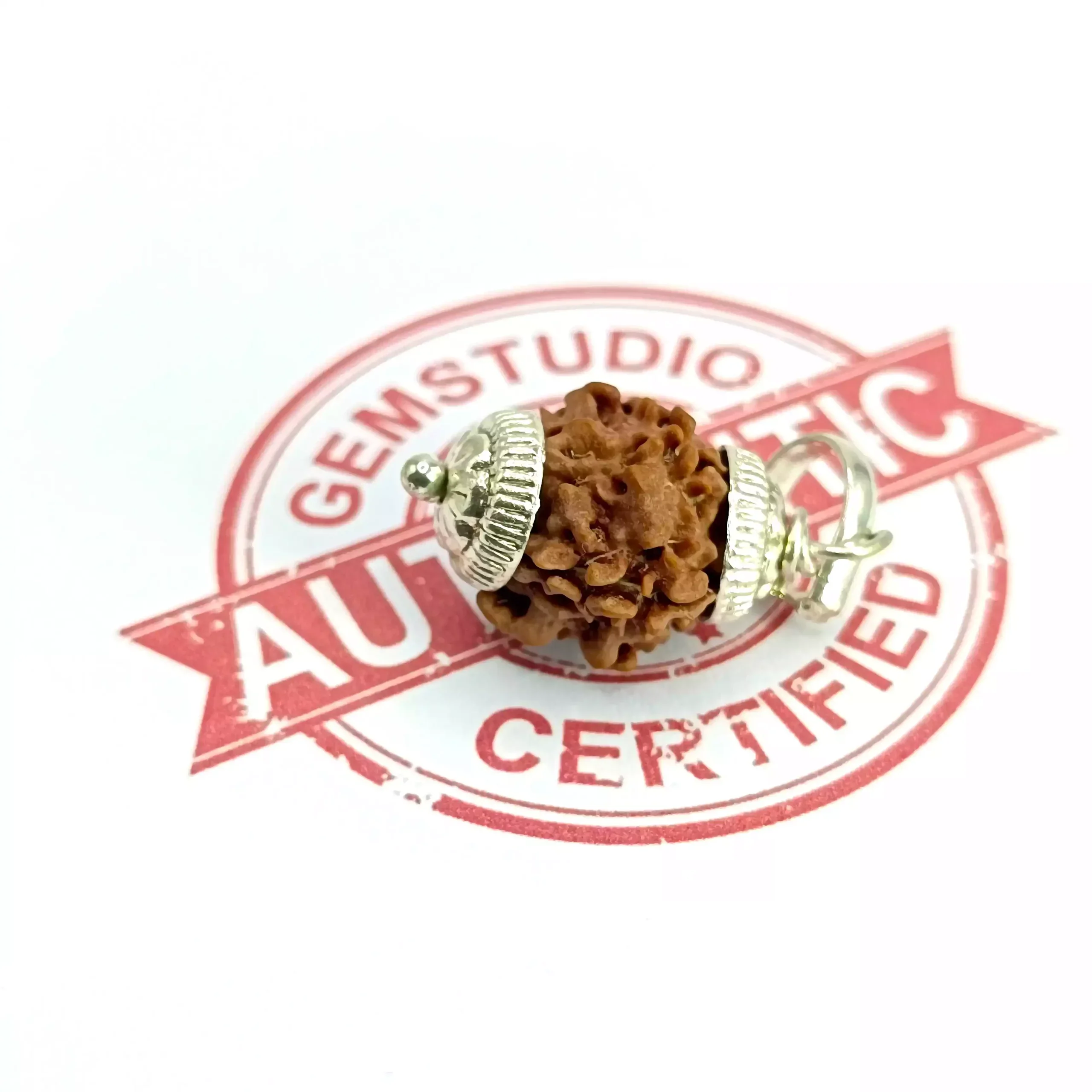 One Mukhi Premium Rare Rudraksha - Image 5