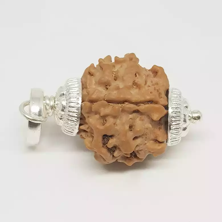 One Mukhi Premium Rare Rudraksha - Image 7