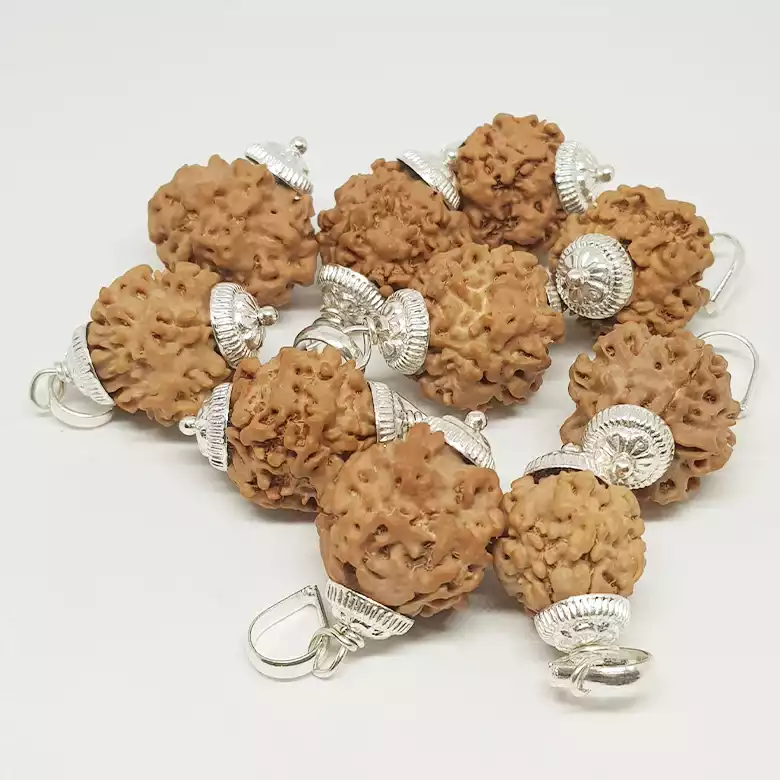 One Mukhi Premium Rare Rudraksha - Image 8