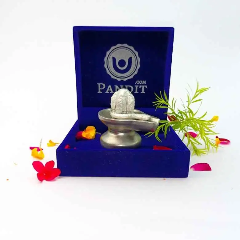 Panchmukhi Parad Shivling - Panchmukhi Mercury Shivling - Image 10