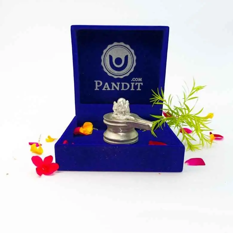 Panchmukhi Parad Shivling - Panchmukhi Mercury Shivling - Image 11