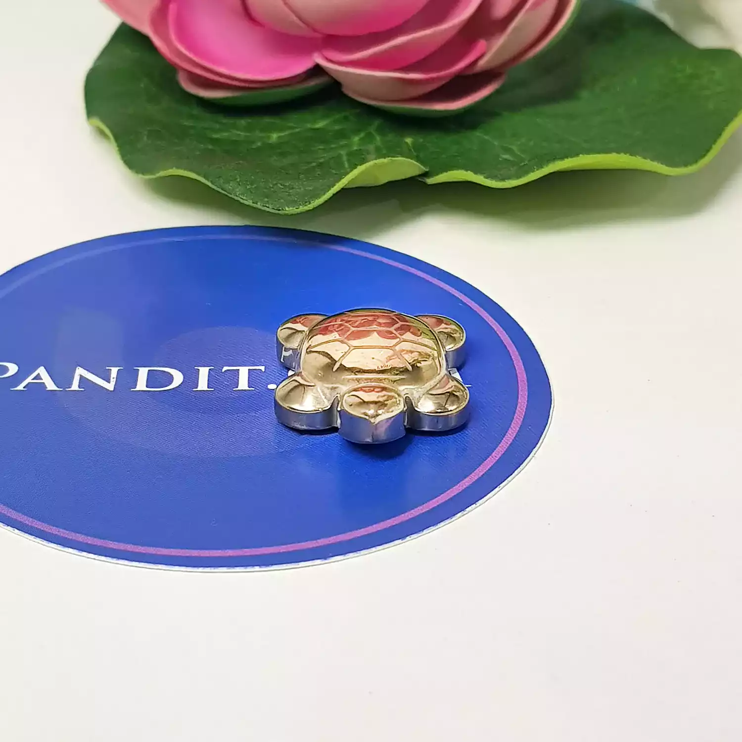 Pyrite Turtle - Image 3