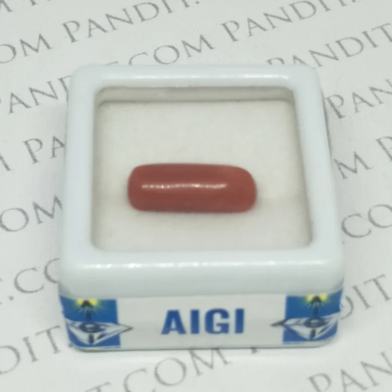 Red Coral Gemstone (Moonga Gemstone) - For Material Gains - Image 9