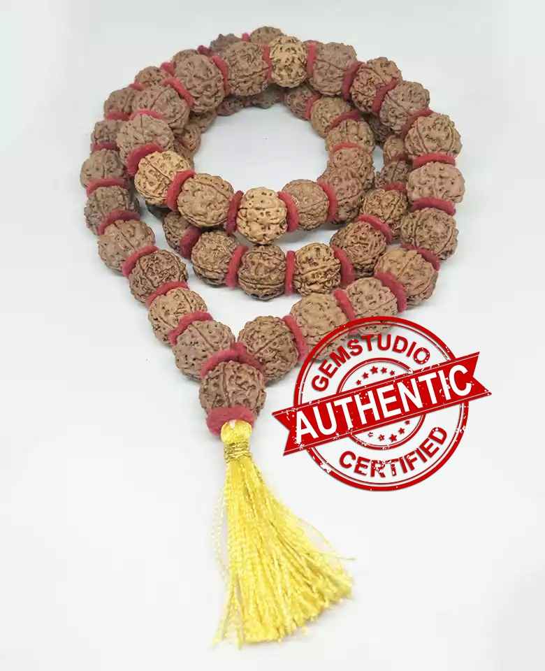 Rudraksha Kanthi Mala - To Attain Power and Tantrik Siddhis - Image 6