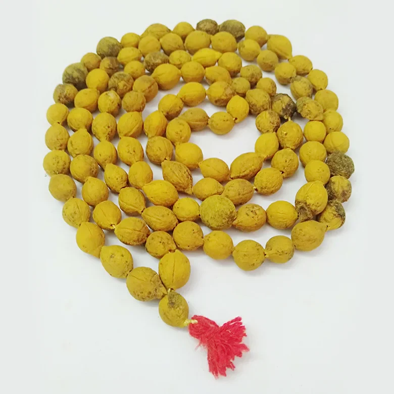 Santan Prapti Kit - Image 4