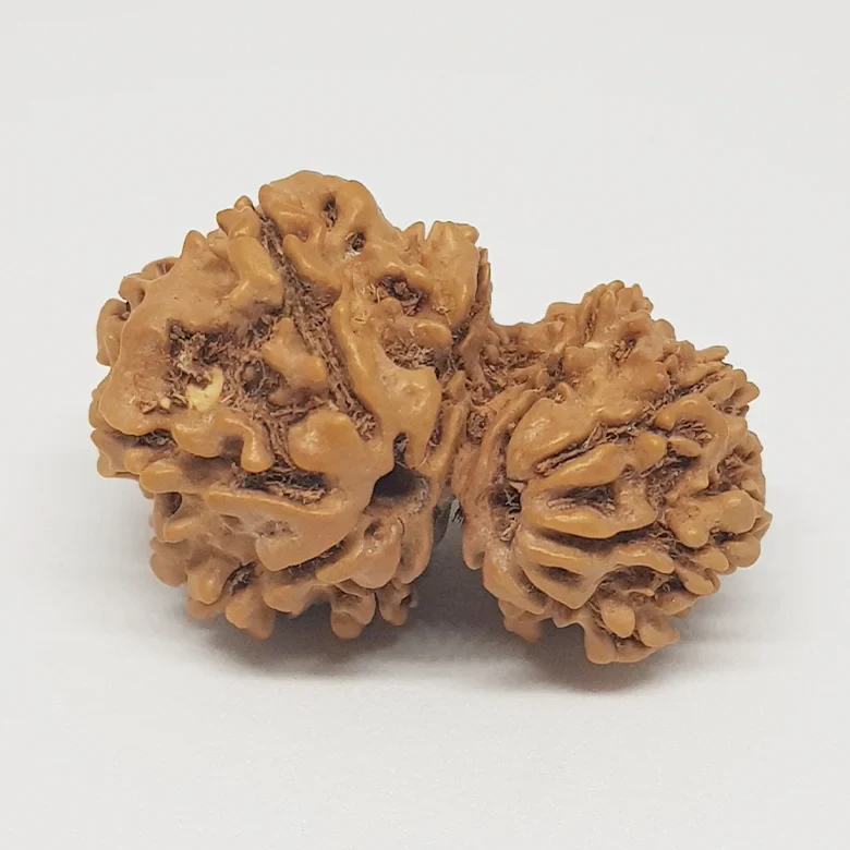 Santan Prapti Kit - Image 8