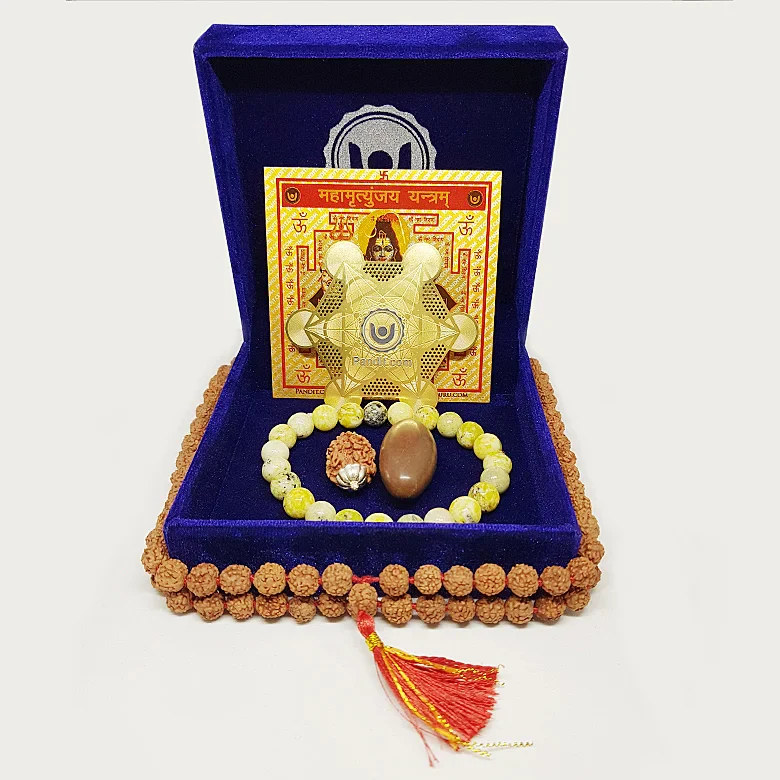 Sarv Rog Nashak Kit - Image 3