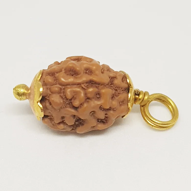 Sarv Rog Nashak Kit - Image 6