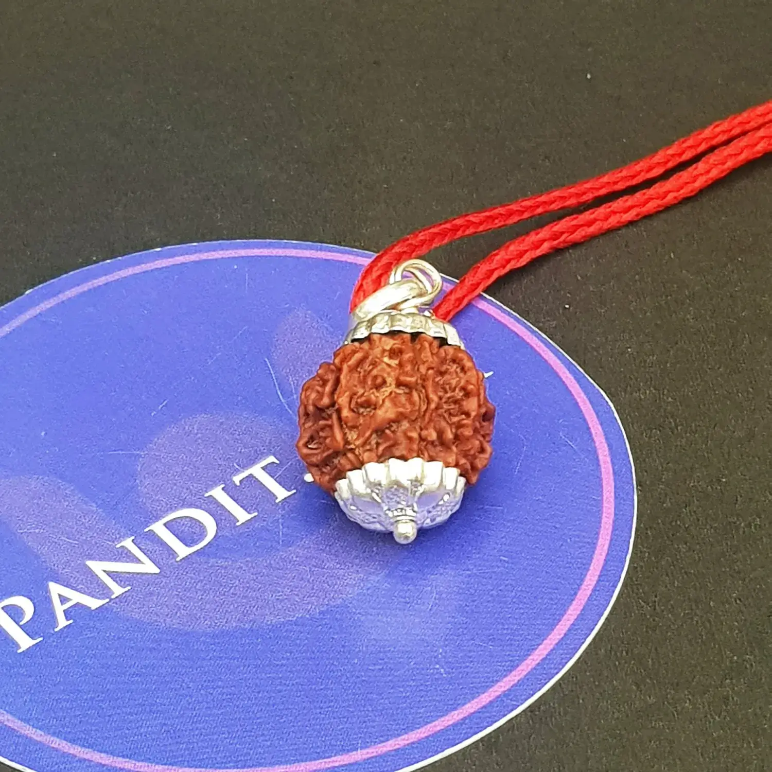 Seven Mukhi Premium Rare Rudraksha - Image 3