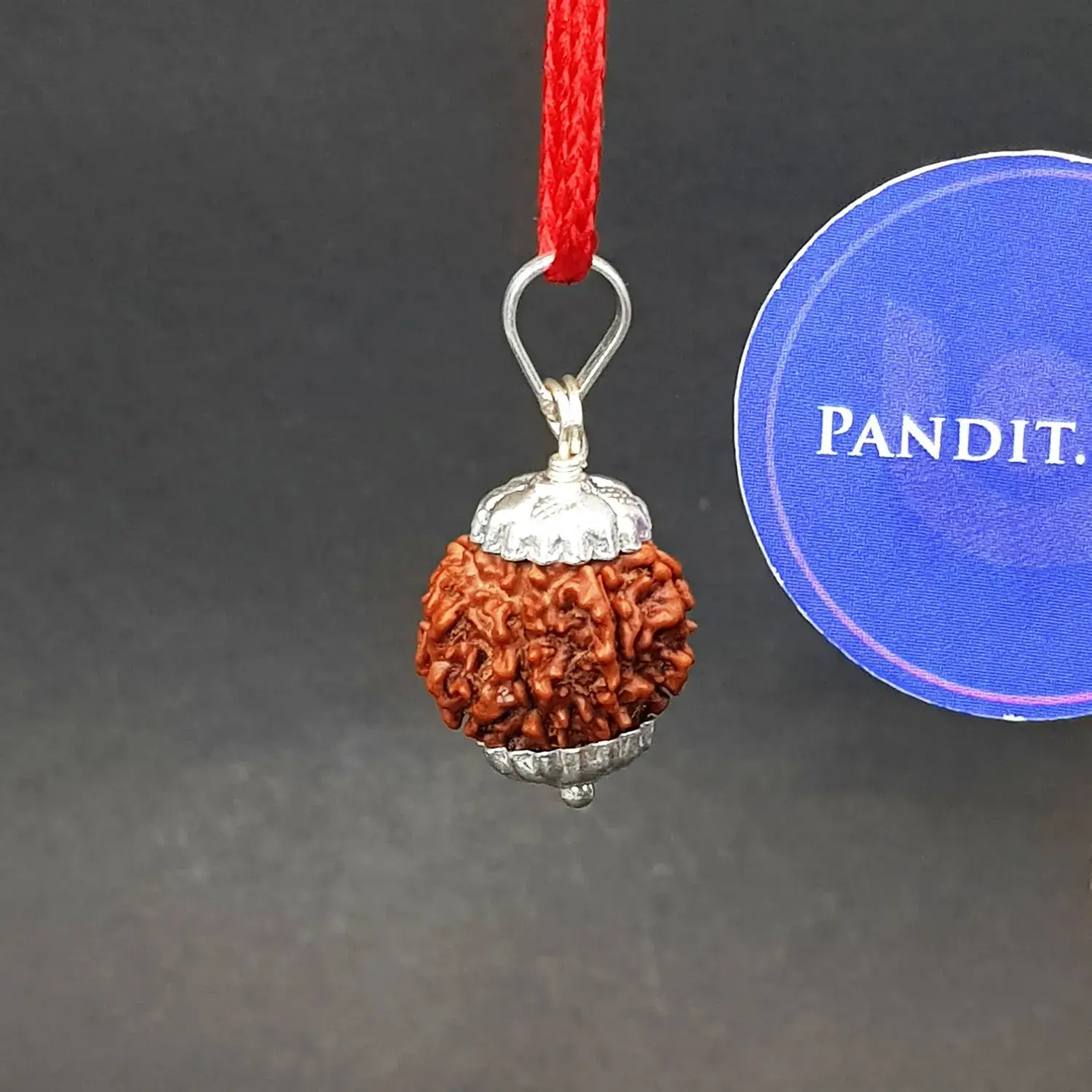 Seven Mukhi Premium Rare Rudraksha - Image 4