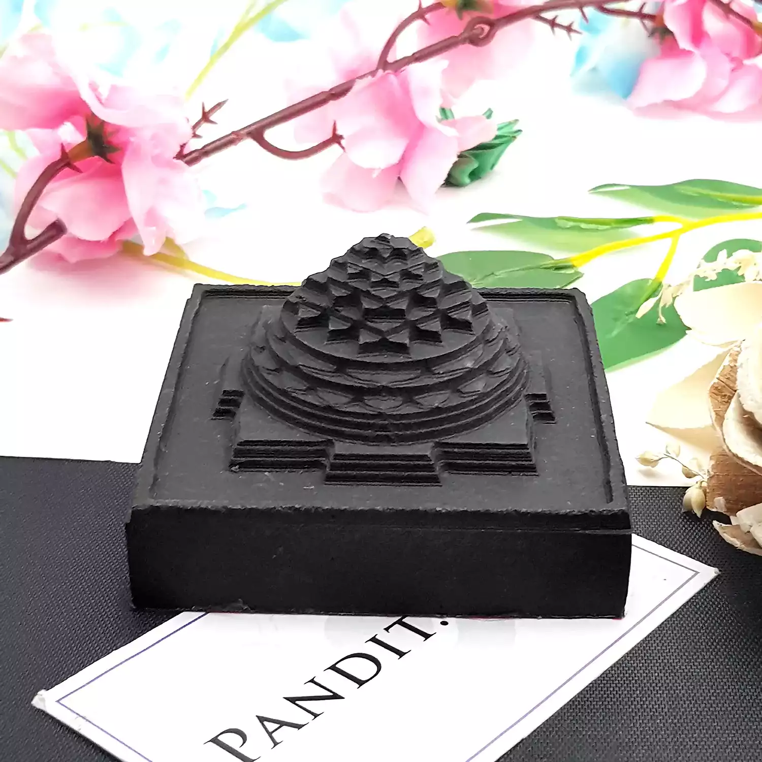 Shaligram Shri Yantra - Image 3