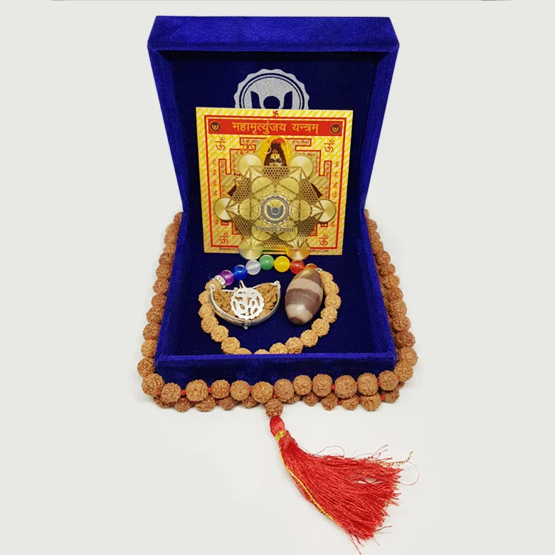 Shivratri Pujan Kit - Image 2