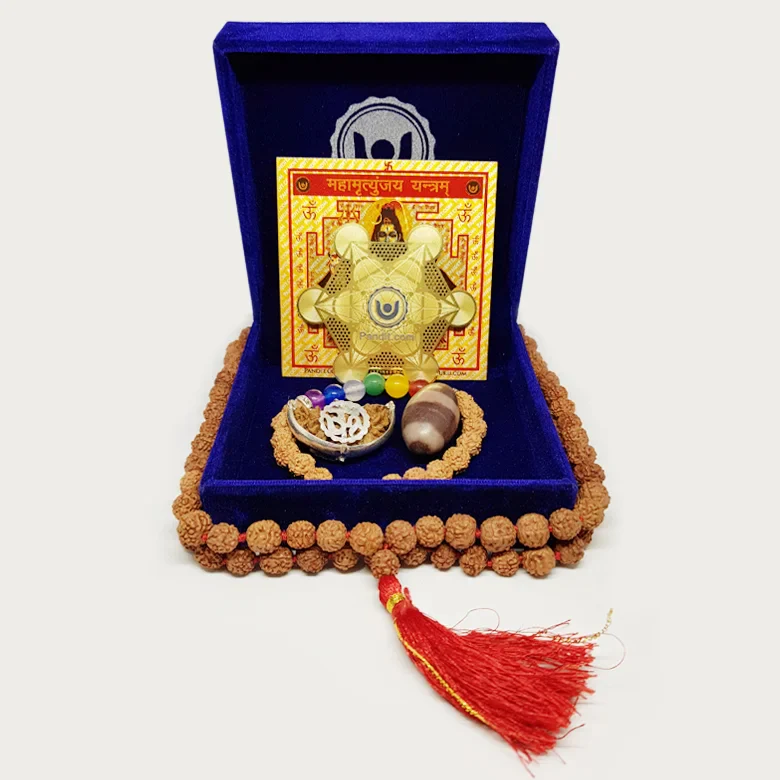 Shivratri Pujan Kit - Image 3