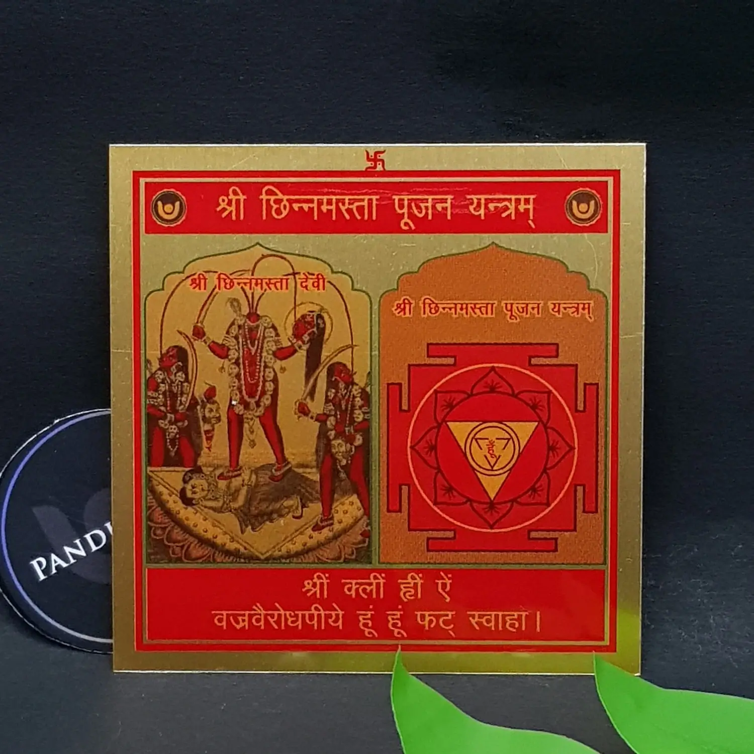 Shri Chinnamasta Pujan Yantra - Image 2