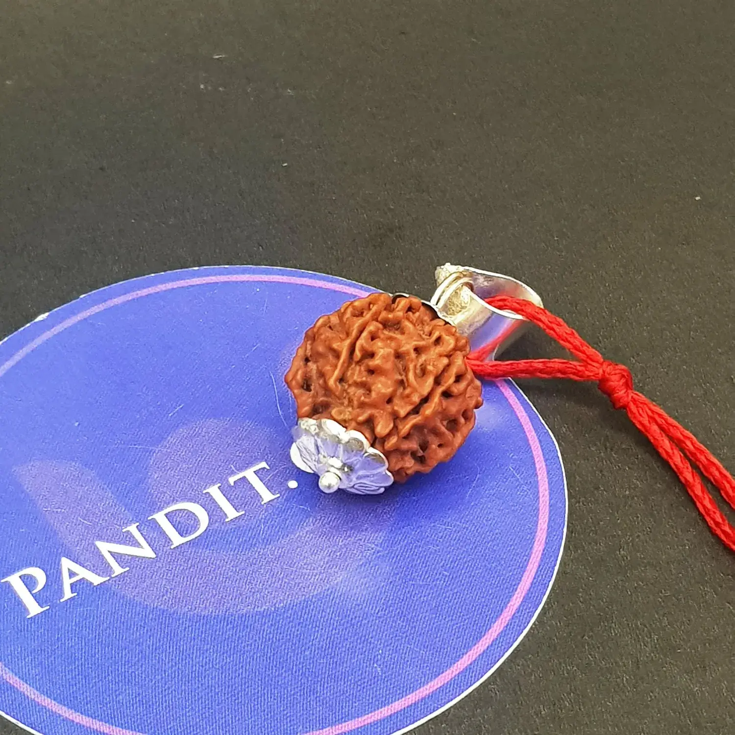Six Mukhi Premium Rare Rudraksha - Image 4