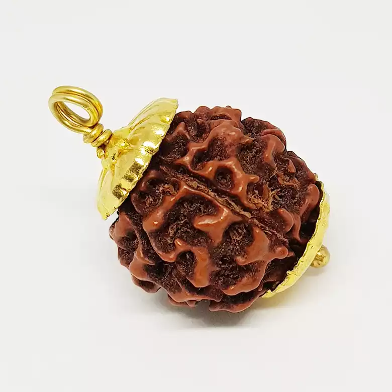 Six Mukhi Premium Rare Rudraksha - Image 7