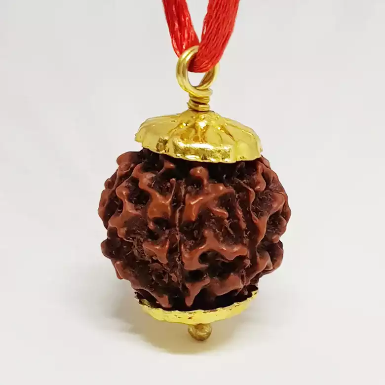 Six Mukhi Premium Rare Rudraksha - Image 8