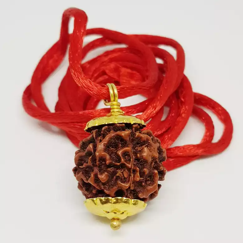 Six Mukhi Premium Rare Rudraksha - Image 9