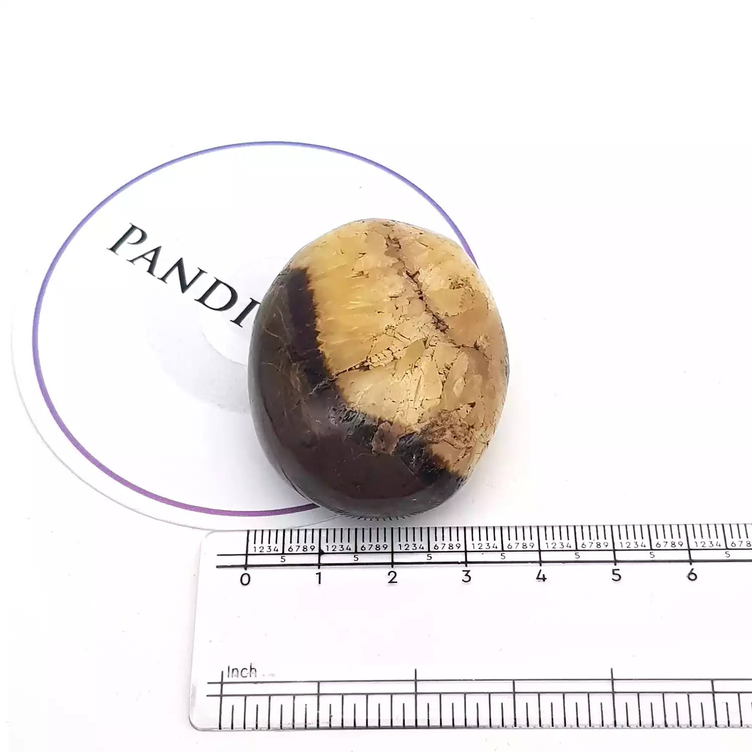 Spotted Jasper Healing Crystal Palm Stone - Image 5