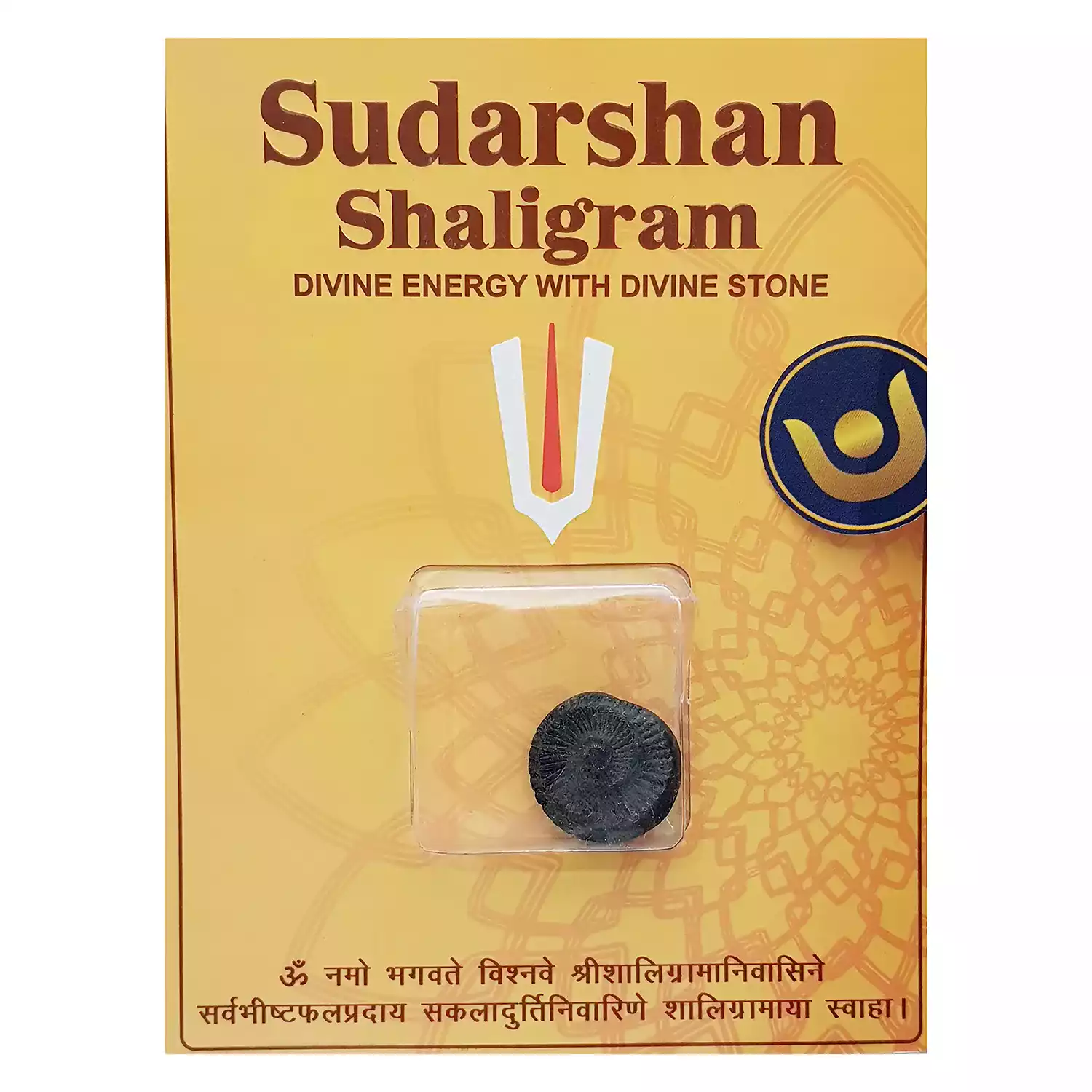 Sudarshan Shaligram - Image 3