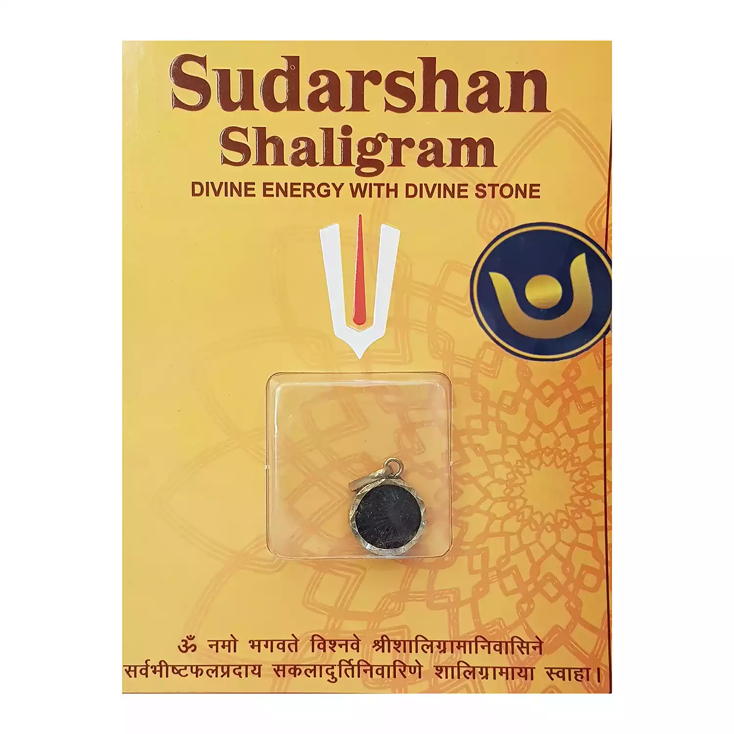 Sudarshan Shaligram - Image 4