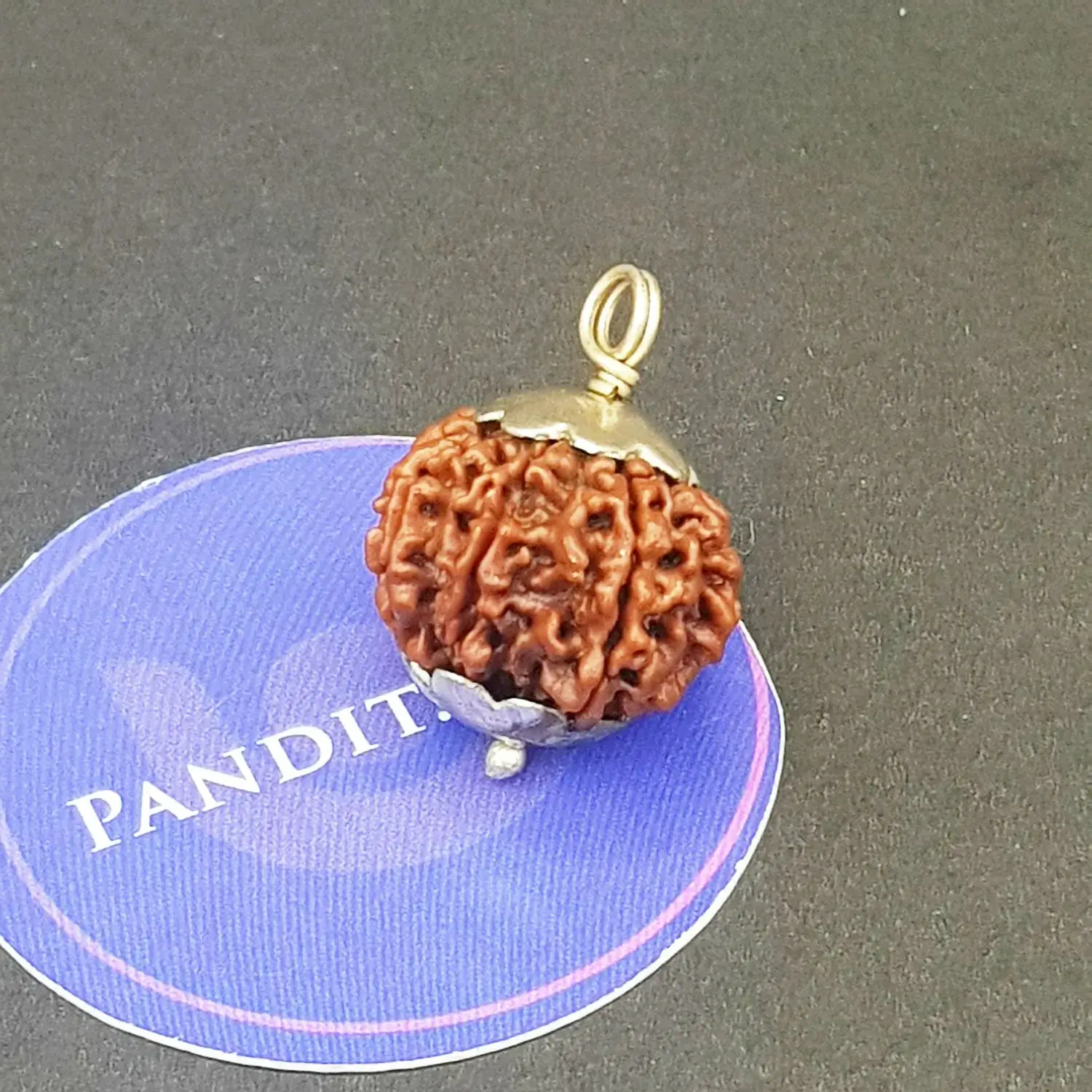 Ten Mukhi Premium Rare Rudraksha - Image 4