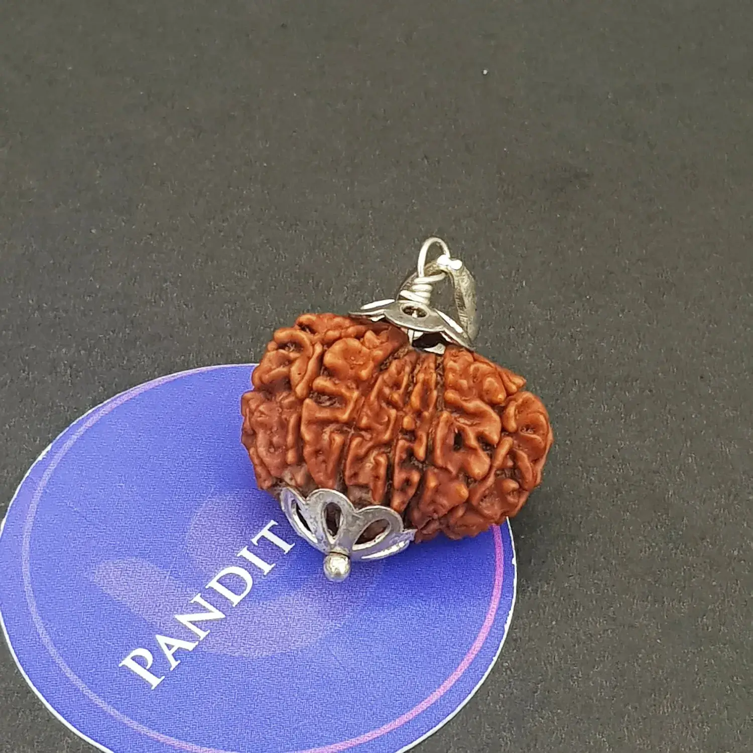 Thirteen Mukhi Premium Rare Rudraksha - Image 4