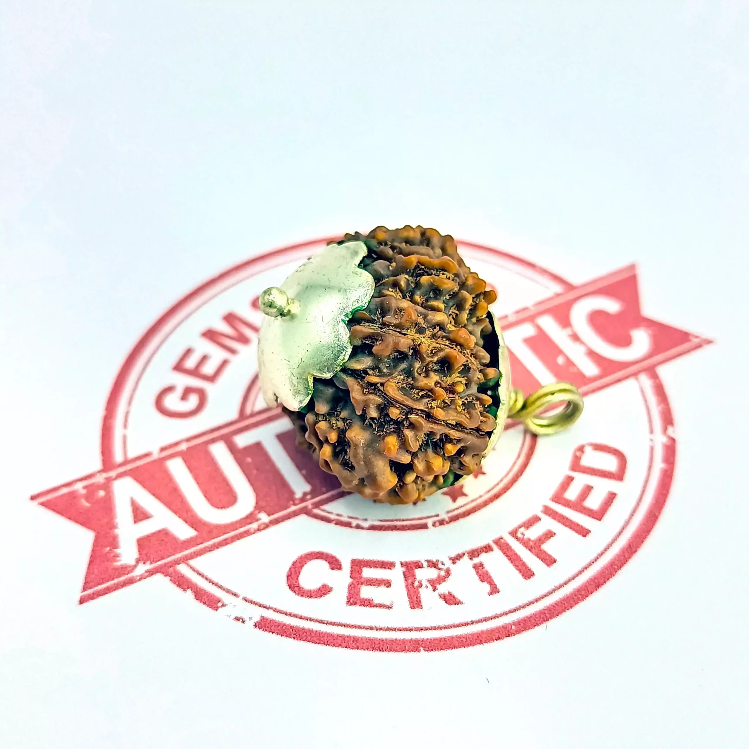 Thirteen Mukhi Premium Rare Rudraksha - Image 6