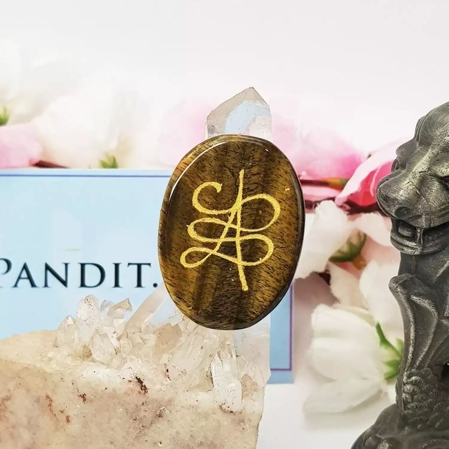 Tiger Eye Zibu Symbol Coin - Image 3