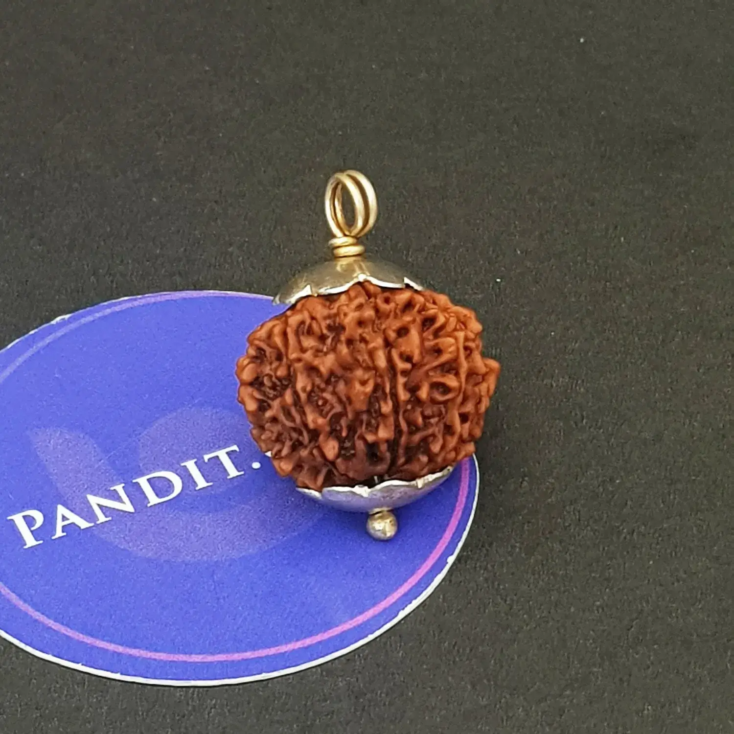 Twelve Mukhi Premium Rare Rudraksha - Image 3