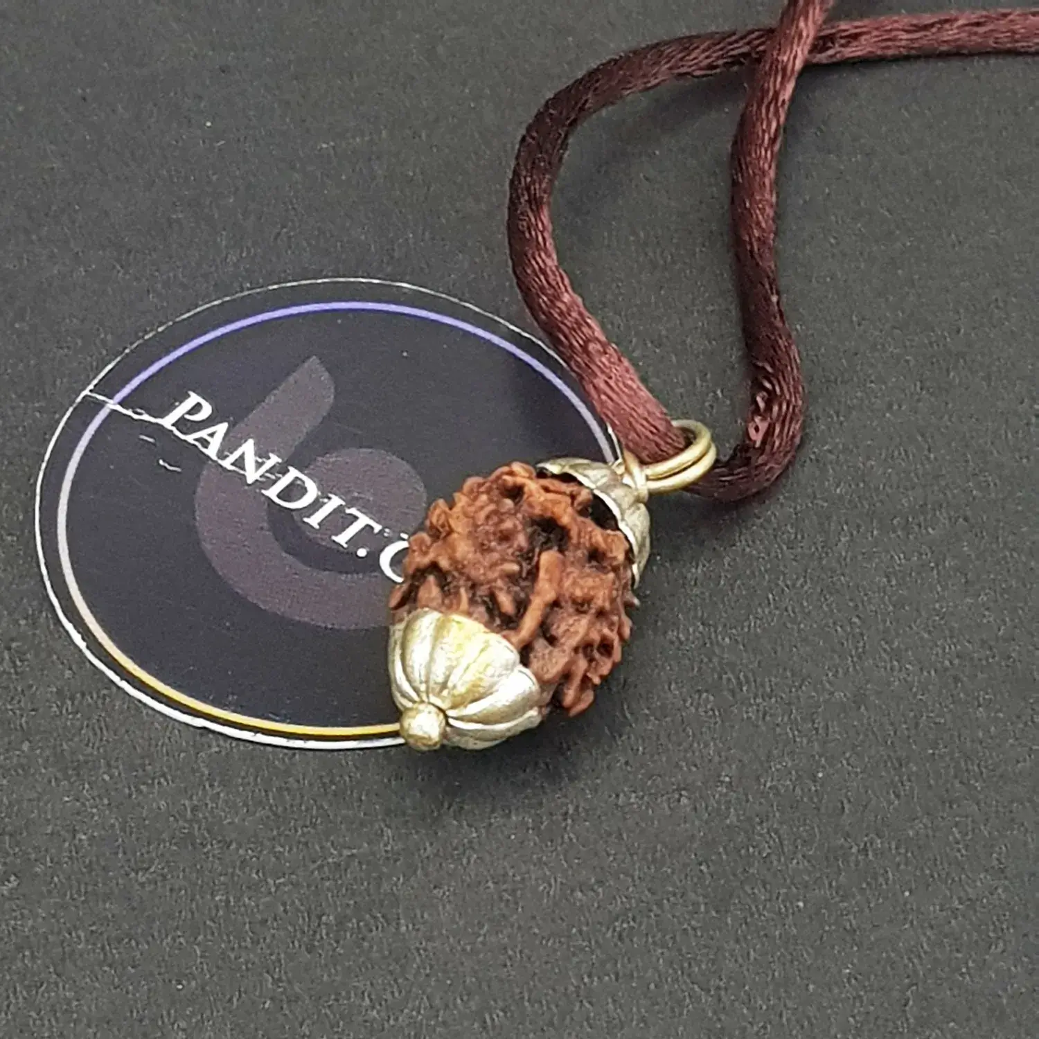 Two Mukhi Premium Rare Rudraksha - Image 4