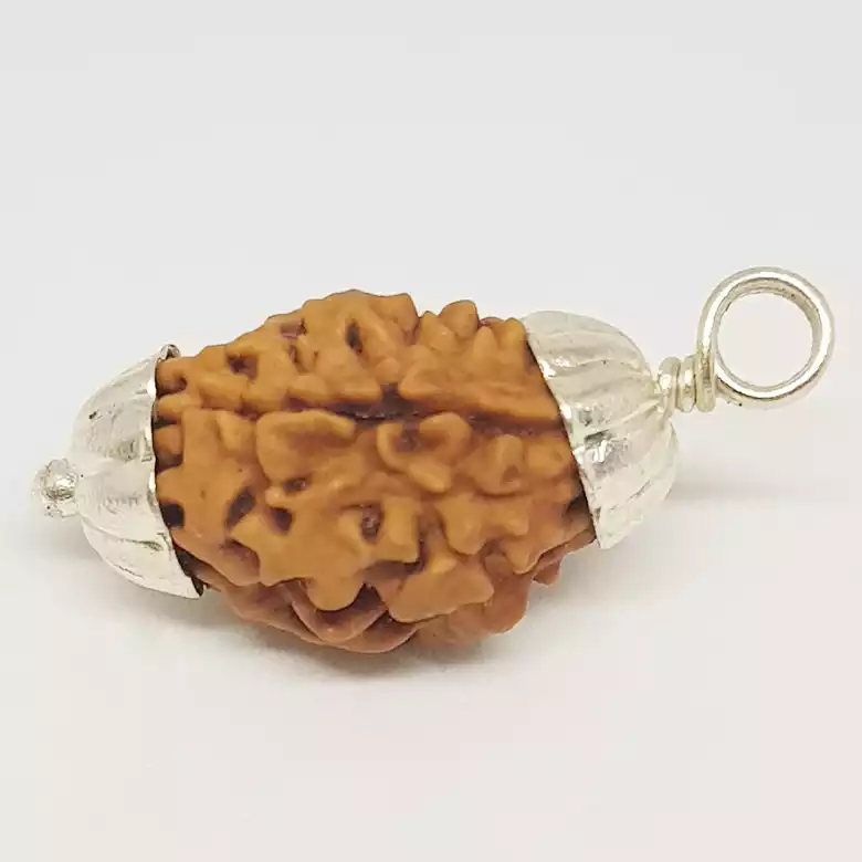 Two Mukhi Premium Rare Rudraksha - Image 5