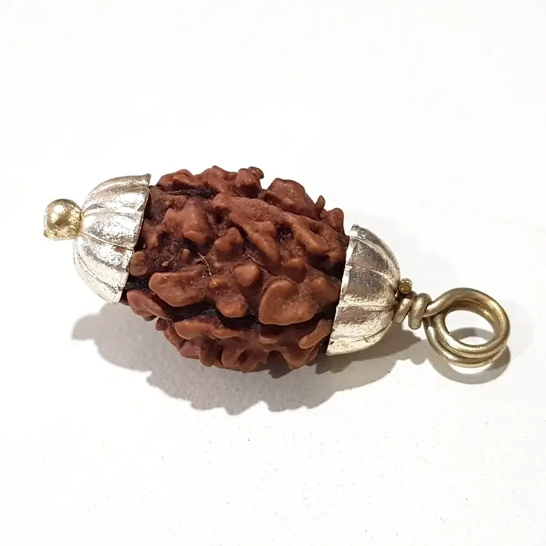 Two Mukhi Premium Rare Rudraksha - Image 6
